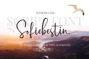 Boost Campaign Clarity with Sofiebestin Script Typeface