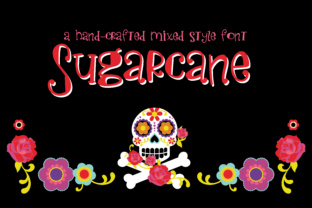 Bringing Youthful Charm to Editorial Design with Sugarcane