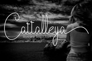 Cattalleya: The Elegant Monoline Script for Modern Design