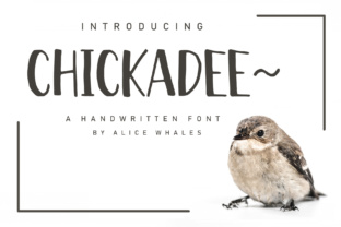 Chickadee: A Doodle Typeface for Quirky Editorial Design