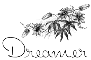 Dreamer Font: A Youthful Script for Digital Branding