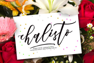 Elevate Your Brand with Chalisto Calligraphy Font