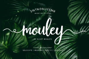 Mouley: A Trendy Script Handwritten Font for Editorial Design